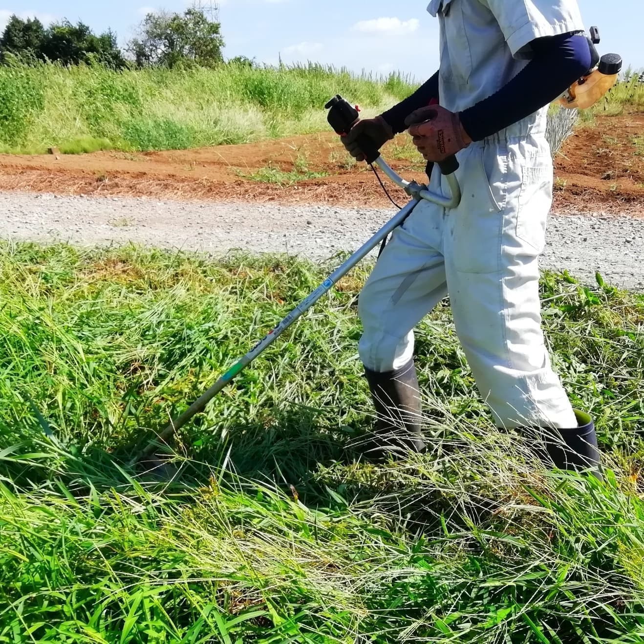 草刈り 西尾市 | 西尾市で草刈りならお庭の窓口西尾市