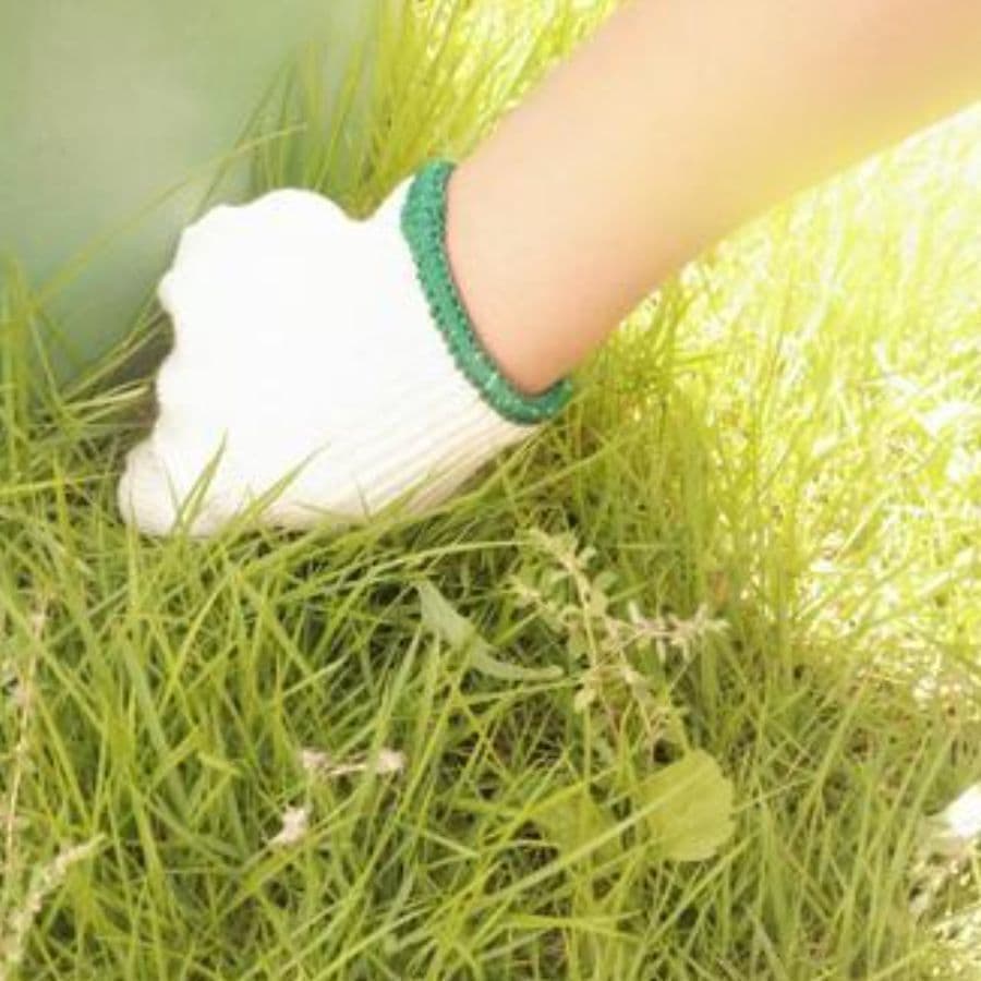 草取り 西尾市 | 西尾市で草取りならお庭の窓口西尾市