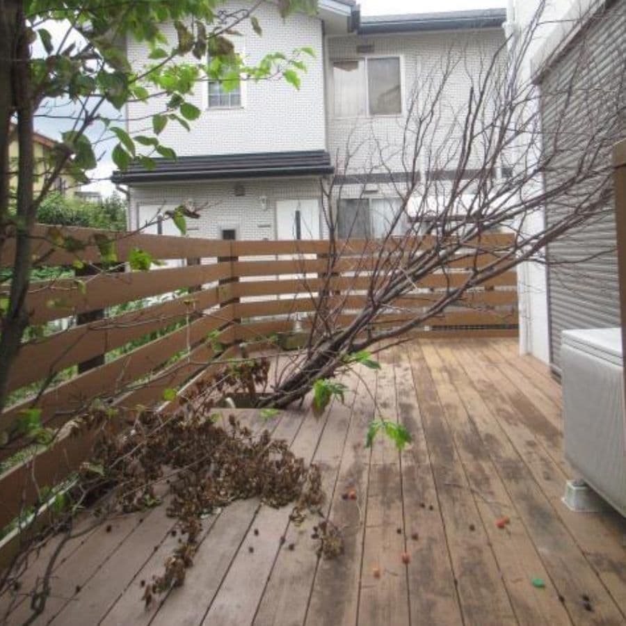 倒木撤去 西尾市 | 西尾市で庭木の倒木撤去ならお庭の窓口西尾市