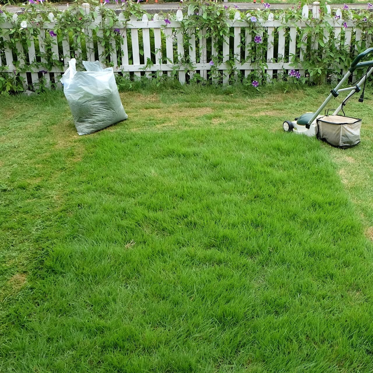 芝生の手入れ 西尾市 | 西尾市で芝生の手入れならお庭の窓口西尾市