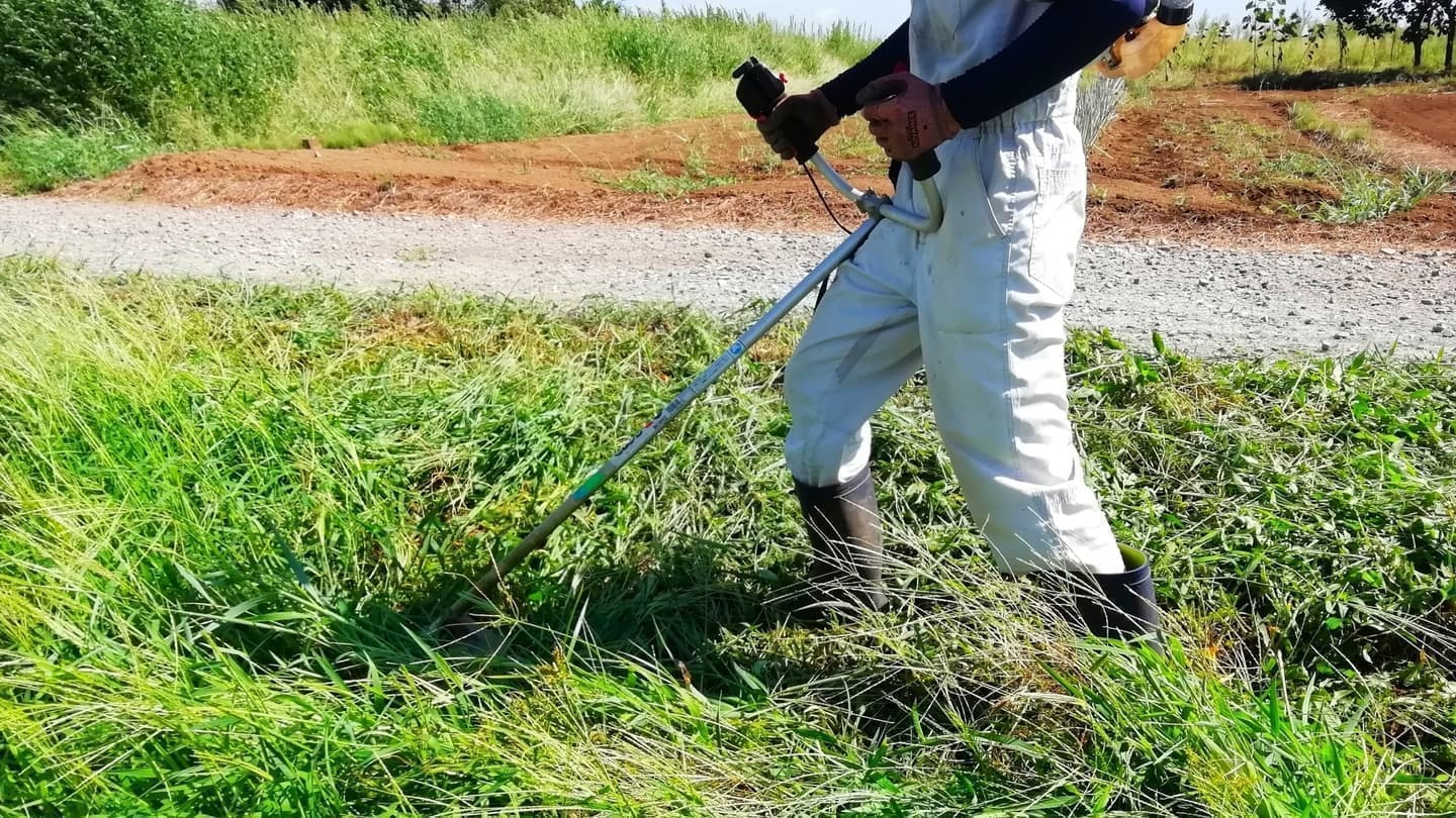 草刈り 西尾市 | 西尾市で草刈りならお庭の窓口西尾市