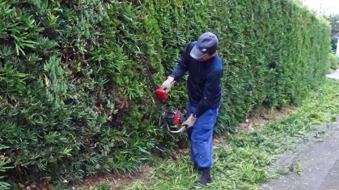 生垣剪定 西尾市 | 西尾市で生垣剪定ならお庭の窓口西尾市