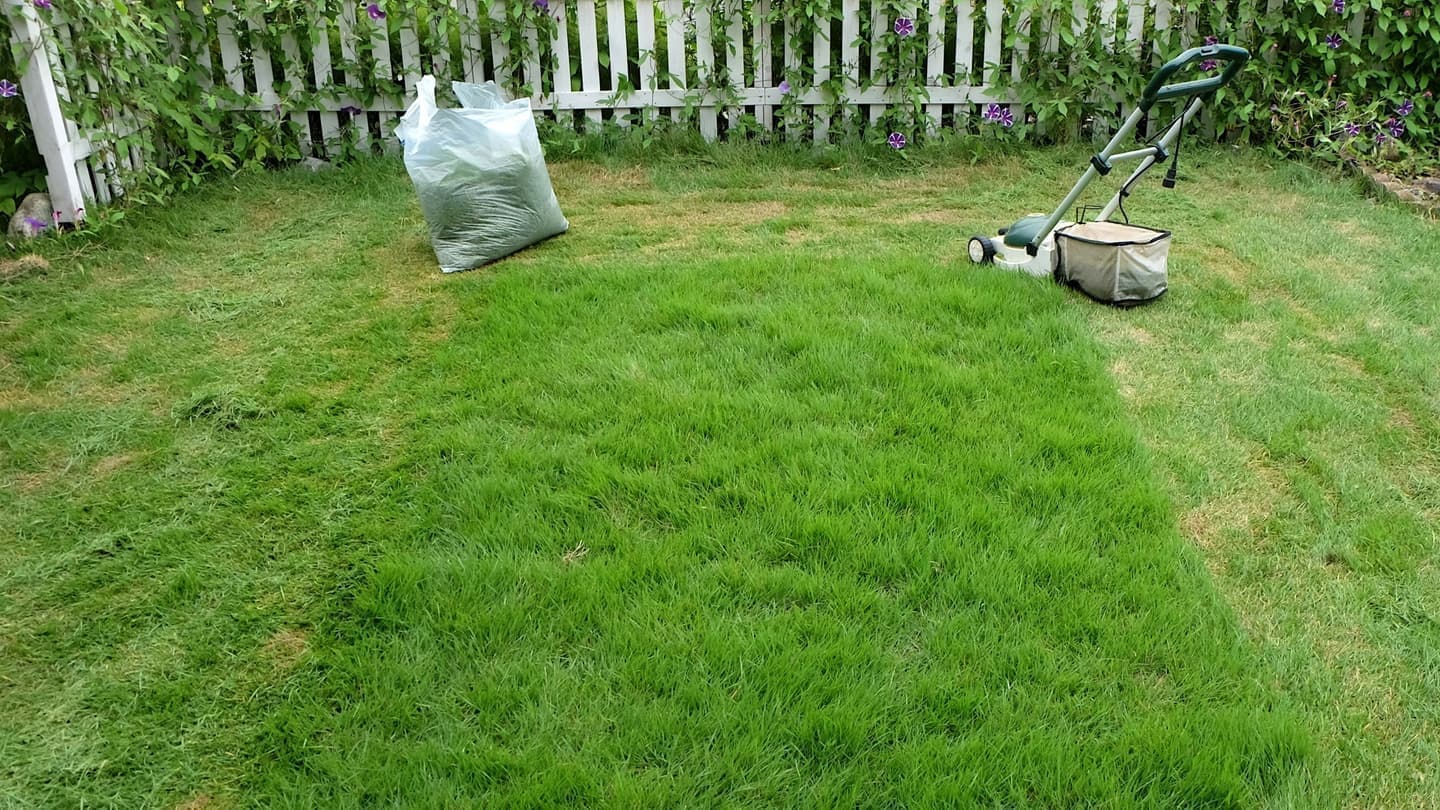 芝生の手入れ 西尾市 | 西尾市で芝生の手入れならお庭の窓口西尾市
