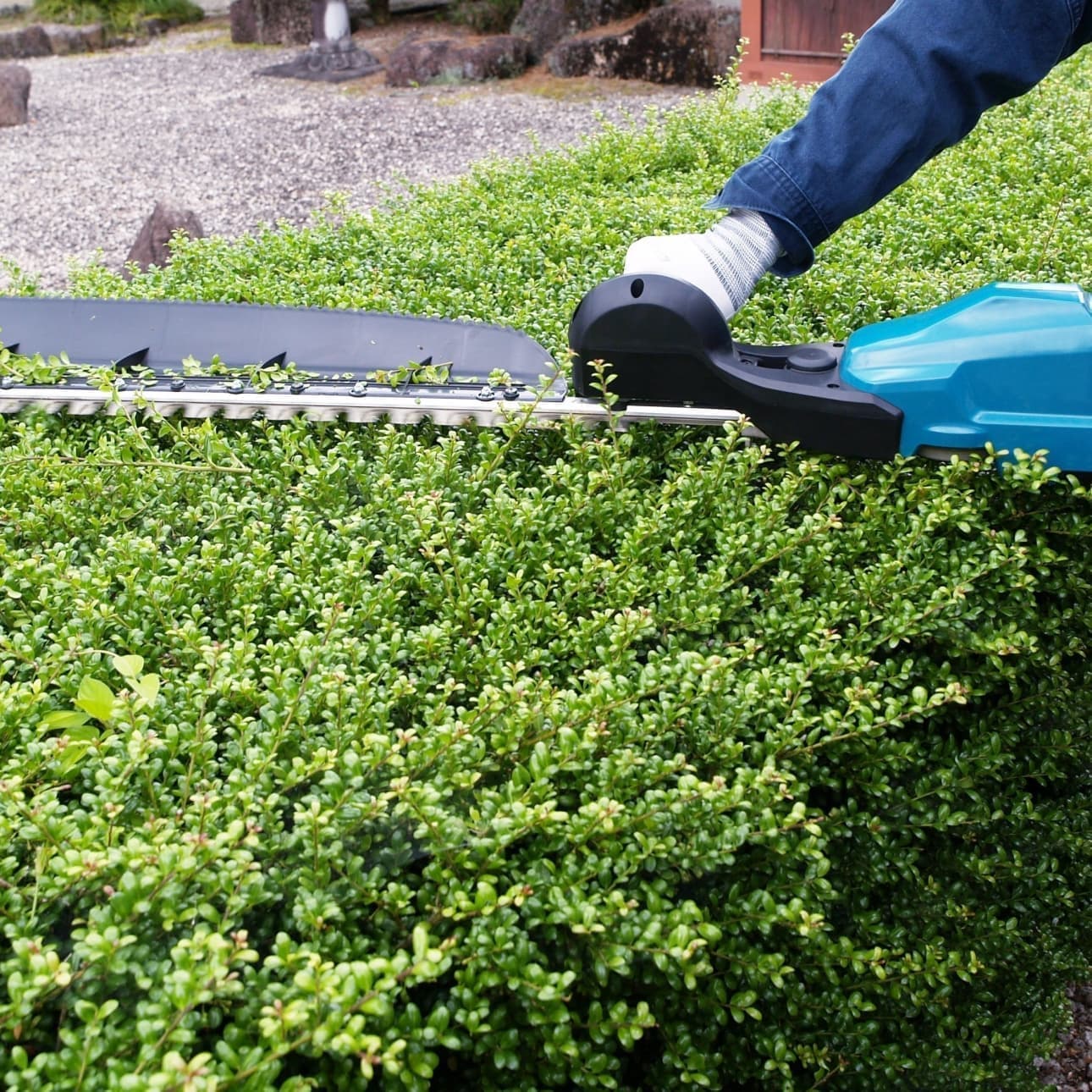 植込み剪定 西尾市 | 西尾市で庭木の植込み剪定ならお庭の窓口西尾市