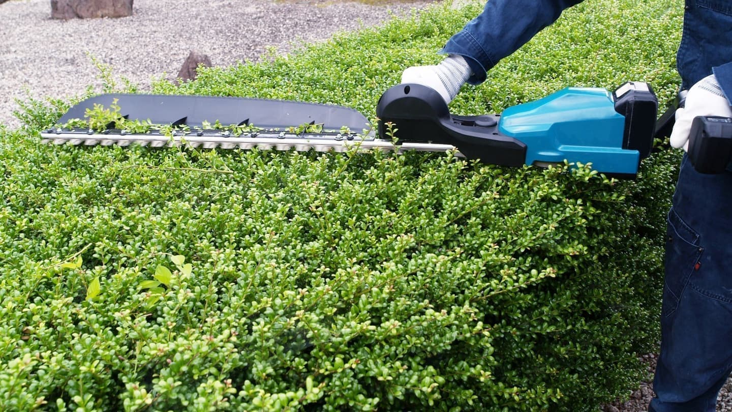 植込み剪定 西尾市 | 西尾市で植込み剪定ならお庭の窓口西尾市