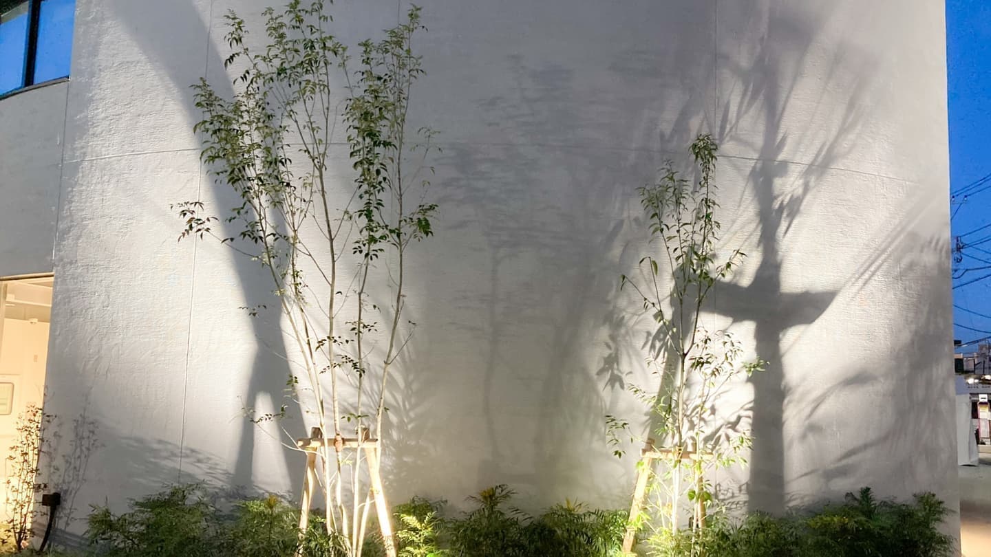 庭木の植栽 西尾市 | 西尾市で庭木の植栽ならお庭の窓口西尾市