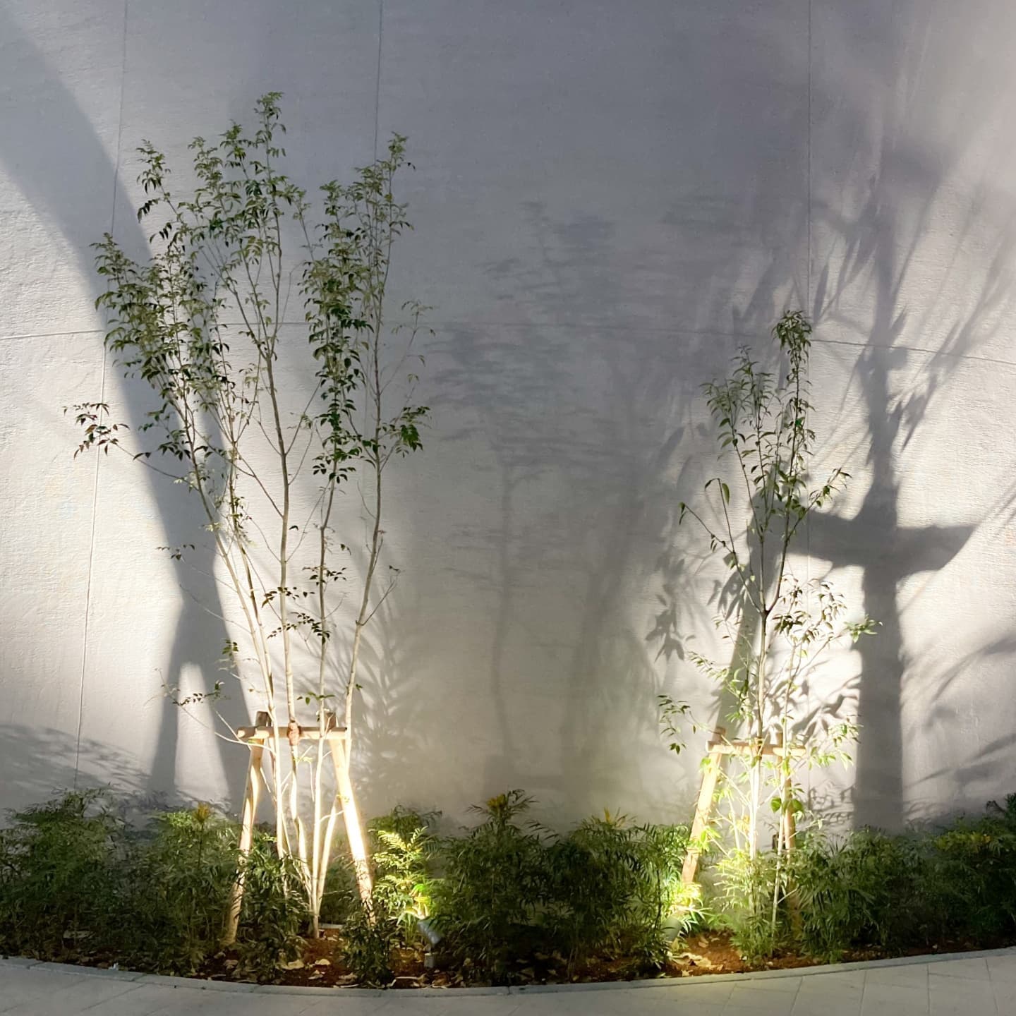 庭木の植栽 西尾市 | 西尾市で庭木の植栽ならお庭の窓口西尾市