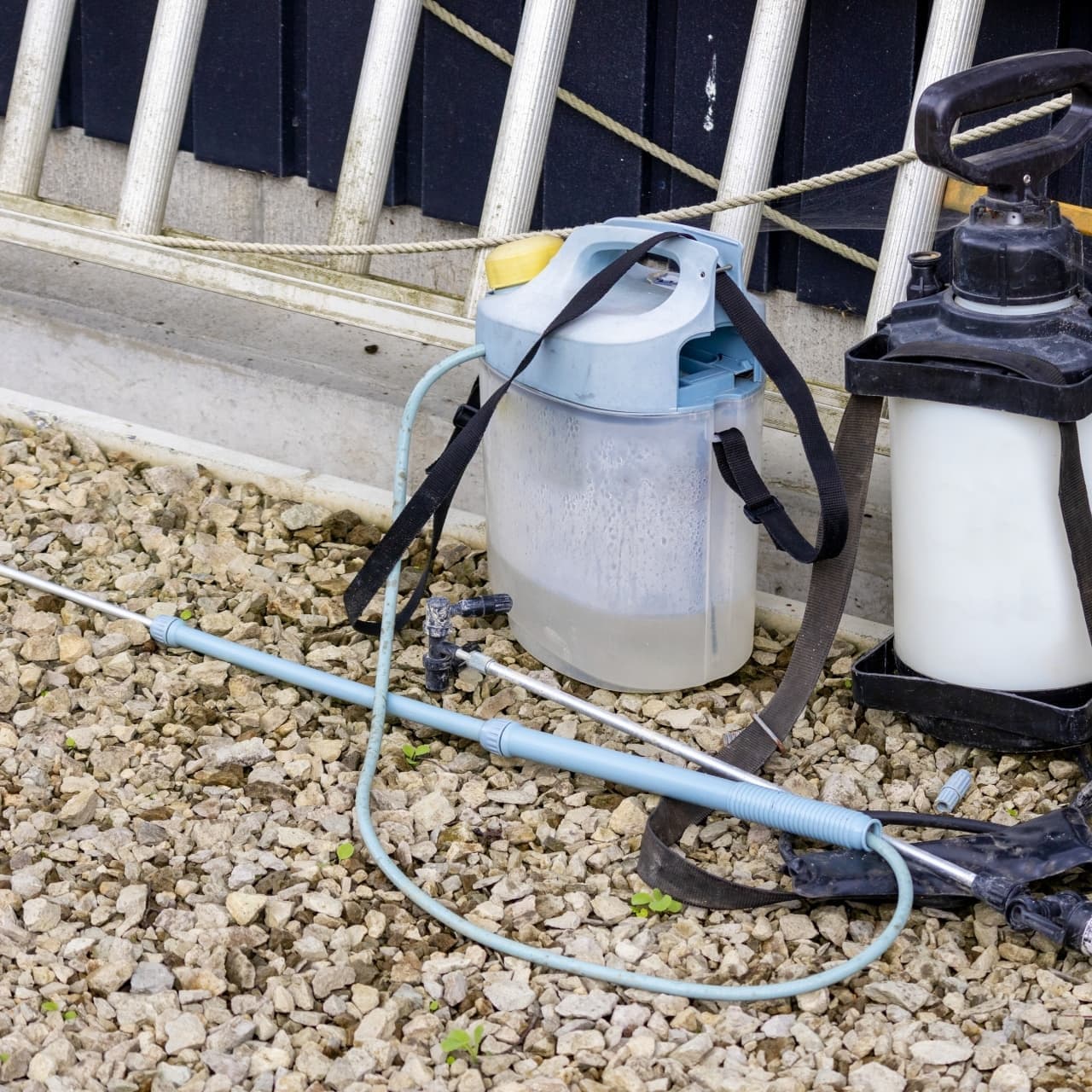 庭木の消毒・害虫対策 西尾市 | 西尾市で庭木の消毒・害虫対策ならお庭の窓口西尾市